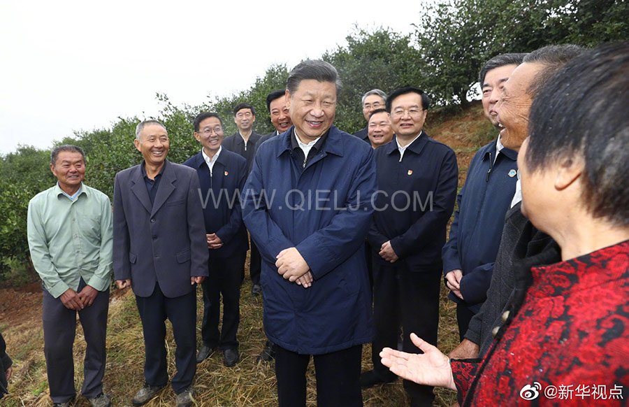 光山油茶籽榨油設備，山茶籽油榨油機廠家(圖2)
