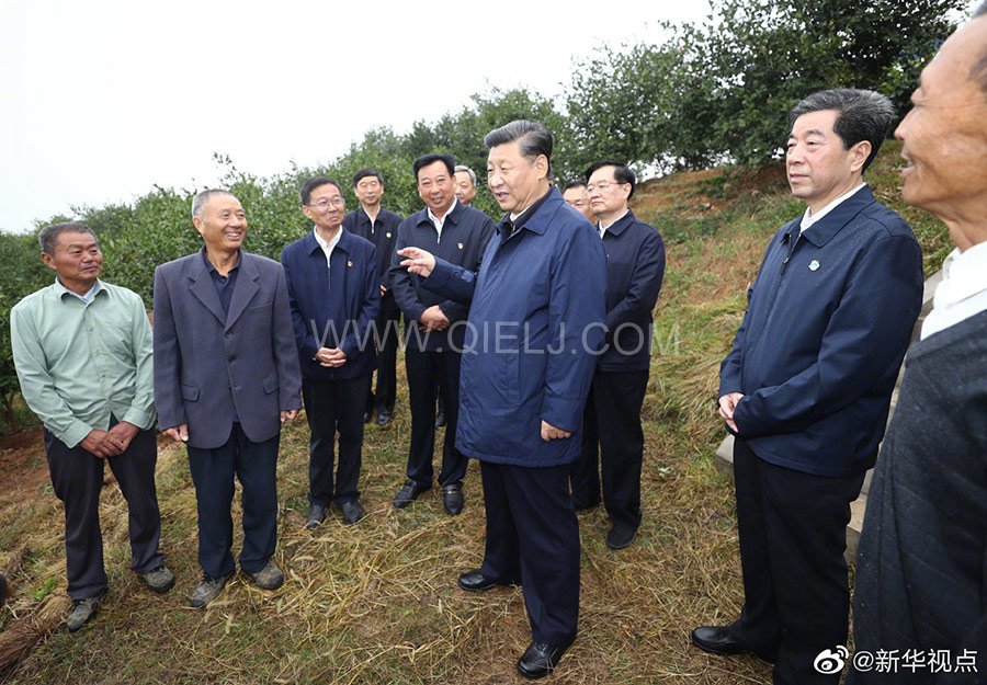 光山油茶籽榨油設備，山茶籽油榨油機廠家(圖3)