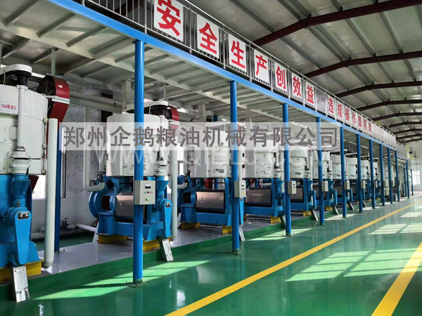 油脂精煉成套設(shè)備，企鵝糧油機(jī)械 品質(zhì)優(yōu)良+技術(shù)成熟(圖1)