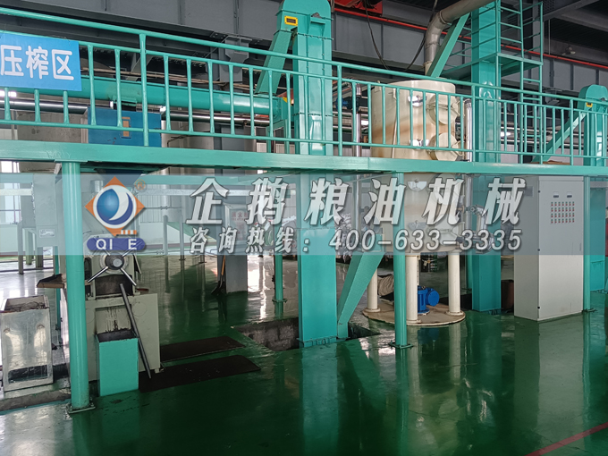 企鵝牌茶籽油雙螺桿榨油機(jī)，用心制造獲得客戶認(rèn)可(圖2)